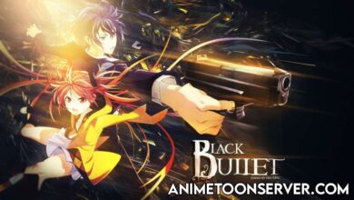 Black Bullet (Season 1) 1080p Dual Audio HEVC